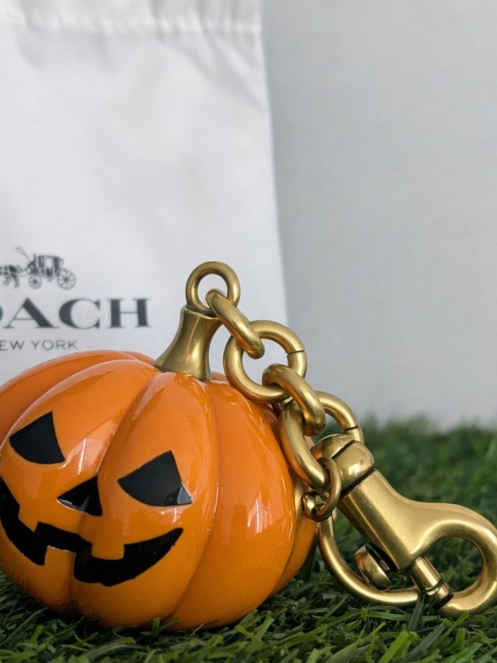 COACH Pumpkin Key Chain/Bag Charm w/Dust Bag 🎃